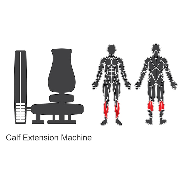 체육관 종아리 익스텐션 머신