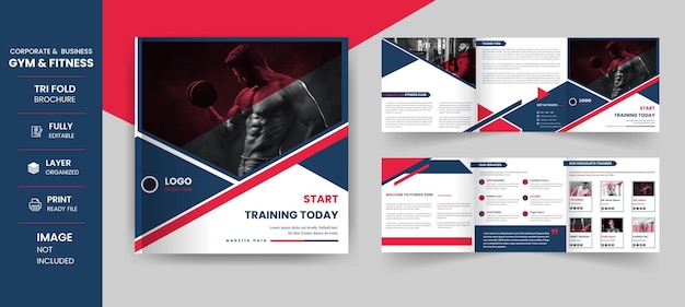 Vector gym fitness 6 page square trifold corporate business company brochure design template
