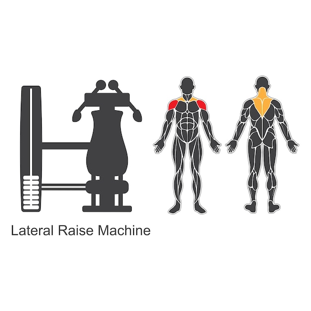 Vettore macchina per il sollevamento laterale della palestra