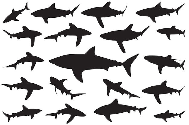 haai silhouet Set van haaien collectie silhouetten van roofzuchtige zwemmende zeevissen