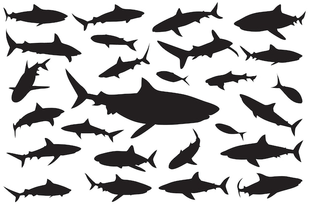 haai silhouet Set van haaien collectie silhouetten van roofzuchtige zwemmende zeevissen