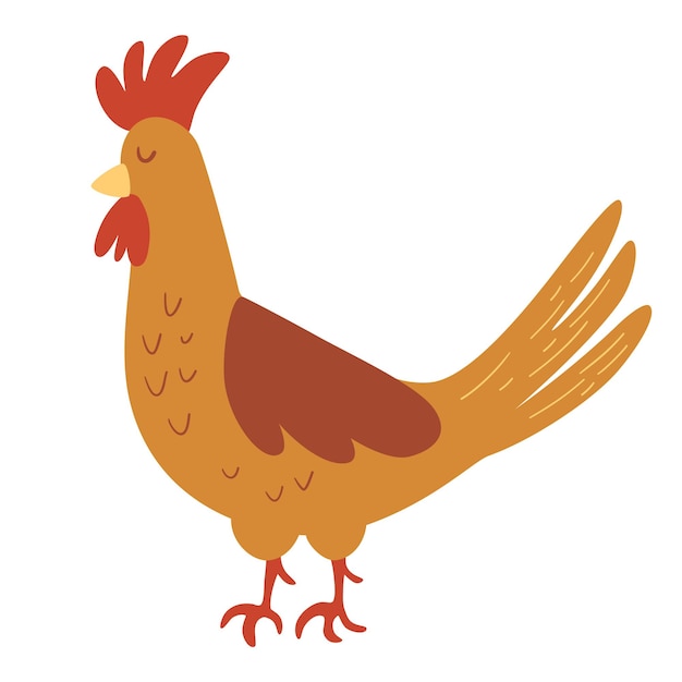 Haan cock farm pet vector cartoon illustratie geïsoleerd element