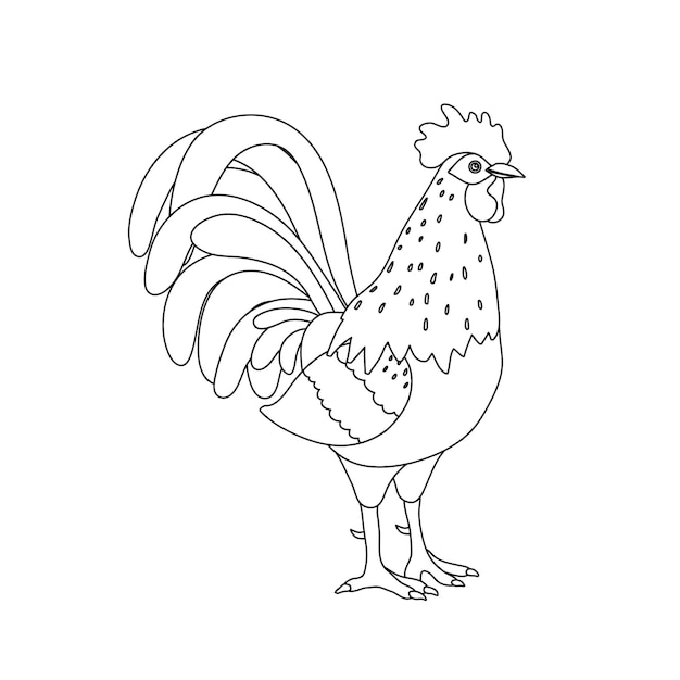 Vector haan silhouet icoon cockerel als symbool of mascotte voor kinderboeken modevormgeving en ansichtkaarten met letters