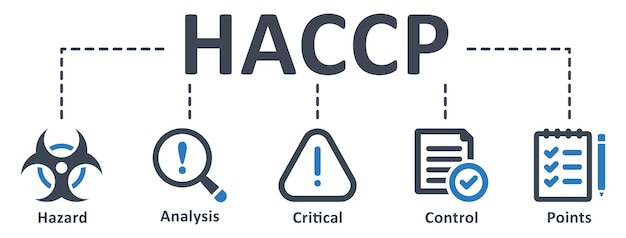 아이콘 벡터 일러스트 비즈니스 개념 Haccp infographic 템플릿 디자인