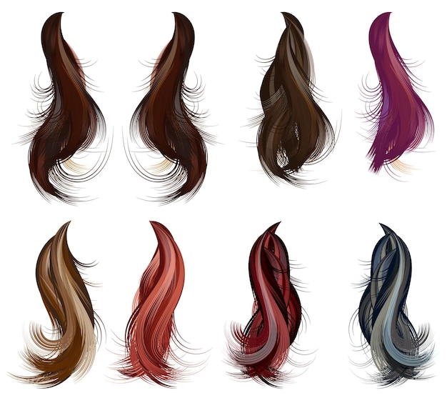 hair draw vector illustration digital painting on a white background