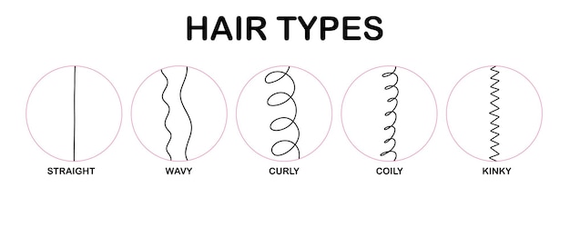 Hair types classification hair types straight wavy curly coily kinky scheme of different