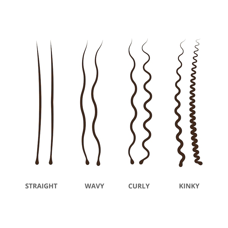 Vector hair types set congenital and acquired varieties of wavy and curly human and animal hair