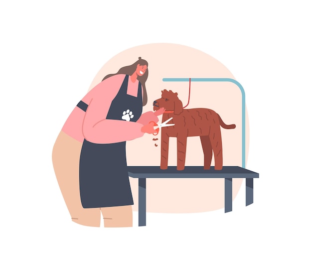 Hairdresser female character provides grooming service cutting puddle dog with scissors in salon domestic animal stand on table for trimming hair cartoon people vector illustration