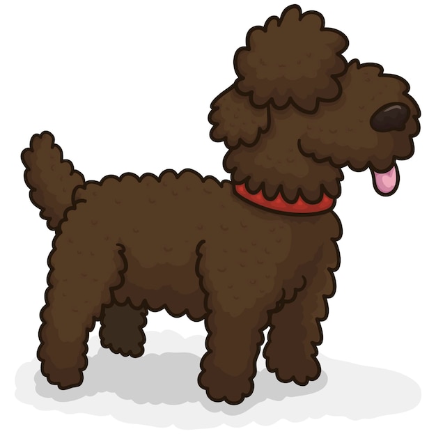 Вектор Волосатая коричневая водяная собака готова к водным развлечениям