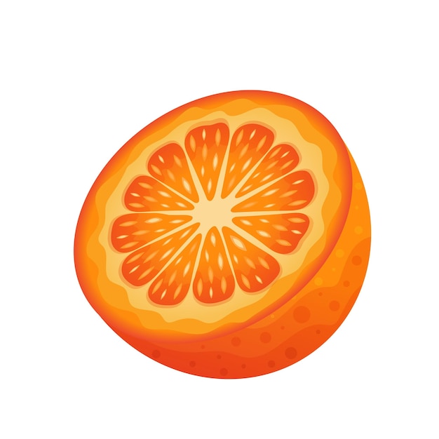 벡터 흰색 배경에 고립 절반 오렌지 육즙 과일