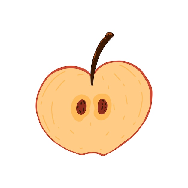 Half an apple. Fruit with textures in hand drawn style. Vector illustration.