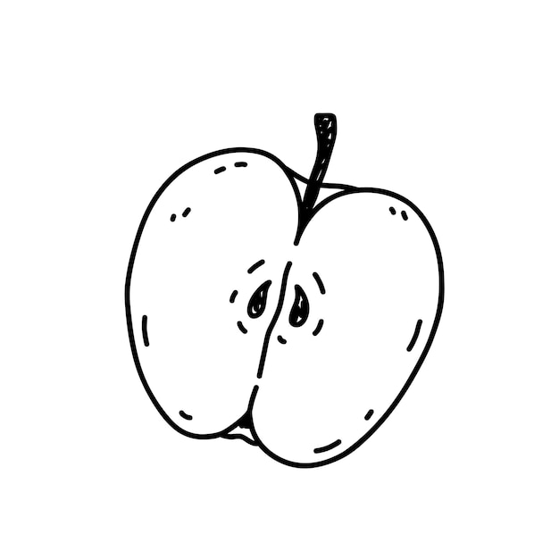 Half an apple isolated on white background Organic healthy food hand drawn doodle illustration