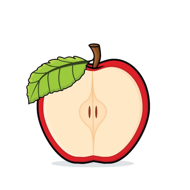 Vector half apples fruit vector cartoon