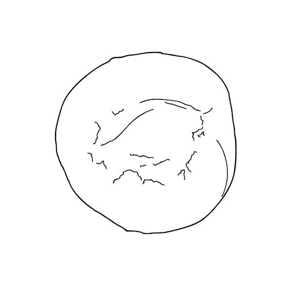 ハーフアプリコットピットベリー菜園食品収穫落書き線形漫画着色