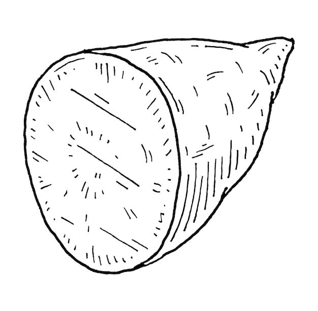 Half batatas Vintage engraving vector black illustration Isolated on white