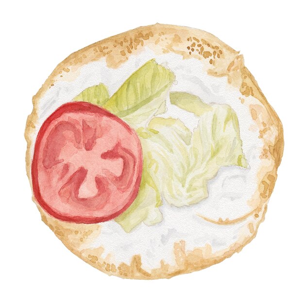 Half burger tomato lettuce sauce watercolor