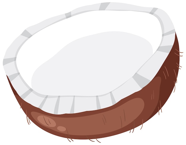 half of cococnut vector