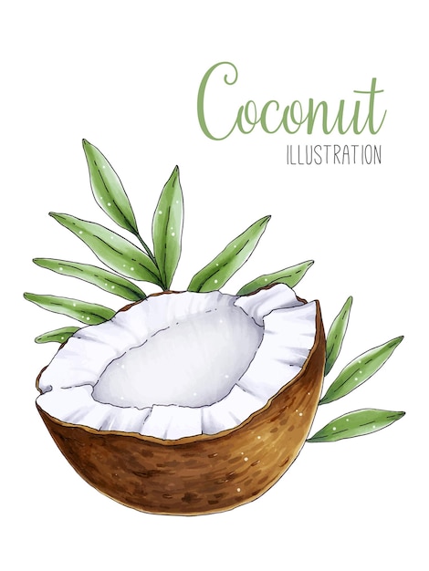 Metà della noce di cocco con foglie tropicali verdi illustrazione ad acquerello