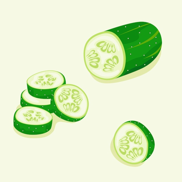 Vector half a cucumber cucumber slices healthy food design vegetables for cooking vector illustration