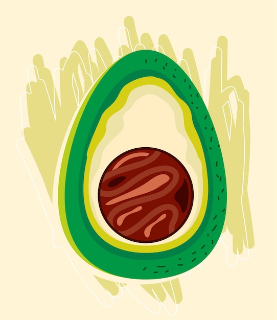 Half fresh avocado