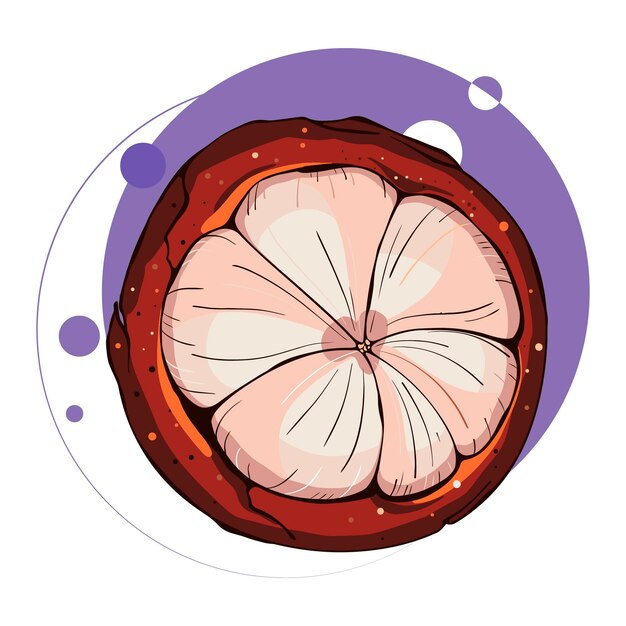 半分のフルーツ マンゴスチンのカラフルな落書きスタイル