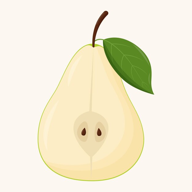 Half of green pear on white background Flat vector illustration