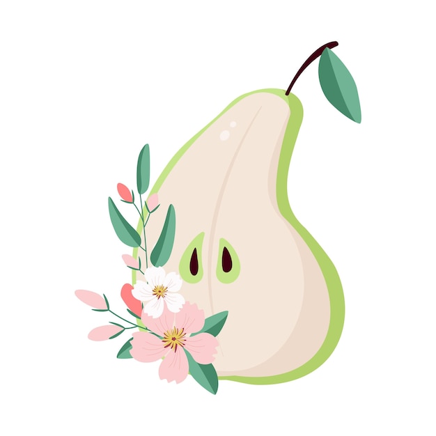 Half green pear with twig blossom on isolated background Pear cut flowers and leaves Vector fruits