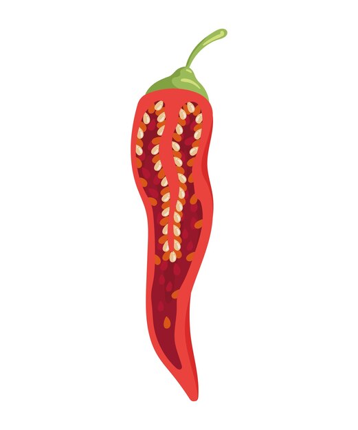 half jalapeno chilli pepper vegetable