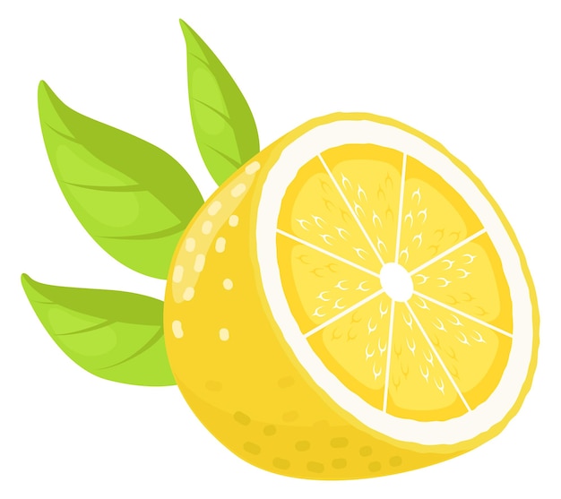 Half of lemon icon cartoon citrus fruit cut