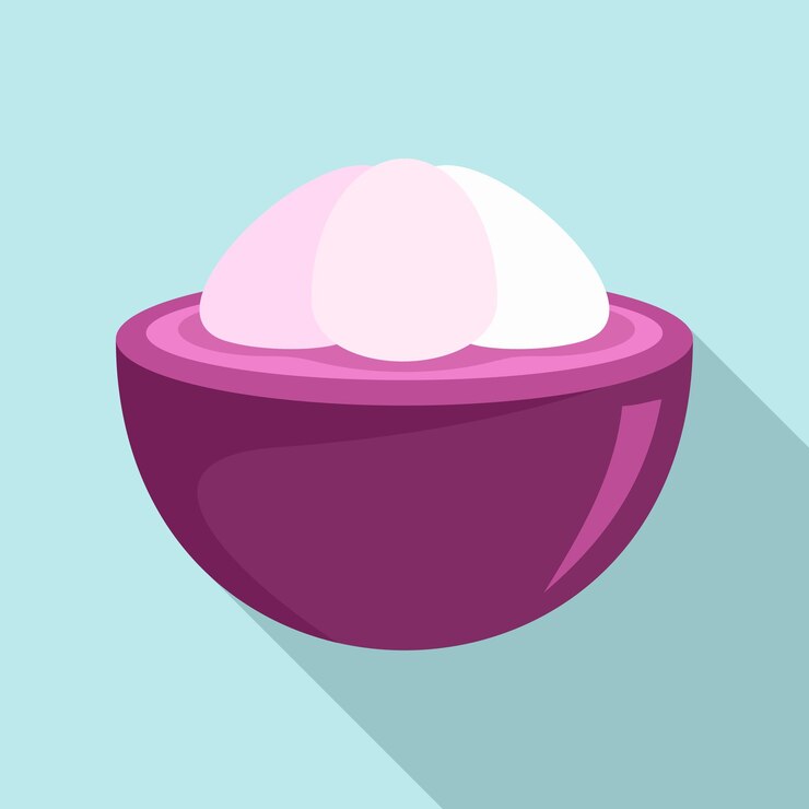 Vector half of mangosteen icon flat illustration of half of mangosteen vector icon for web design