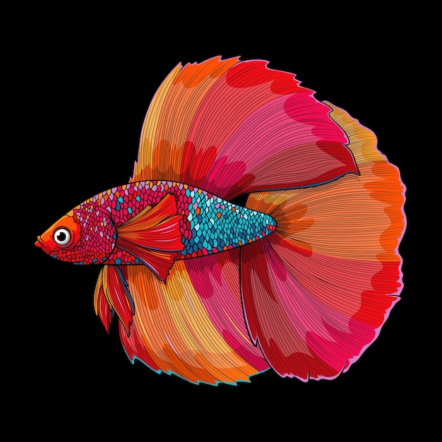 Half moon betta fish illustration