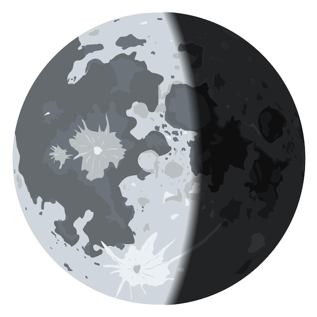 Vector half moon month lunar cycle phase with realistic shadow