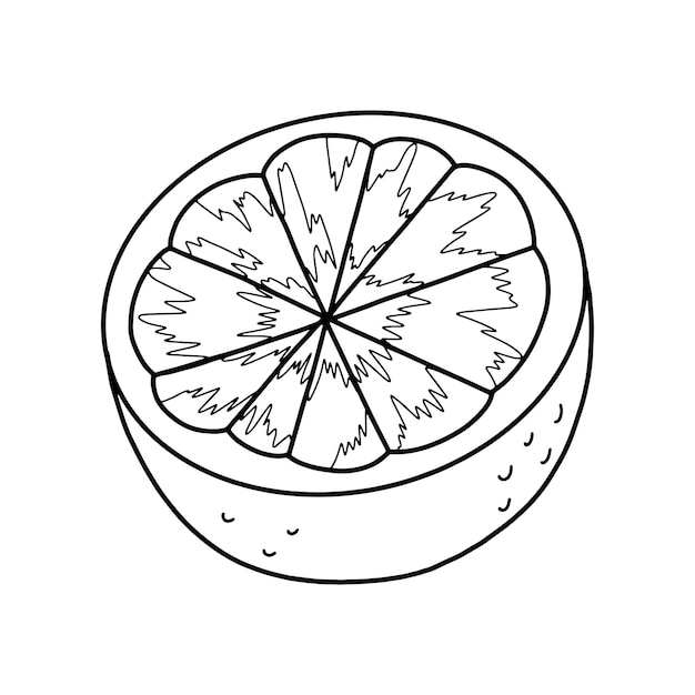 Mezz'illustrazione di frutta arancione disegnata a mano illustrazione vettoriale isolata su sfondo bianco