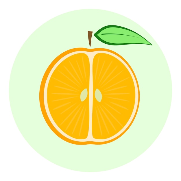 Half orange icon orange split in a half