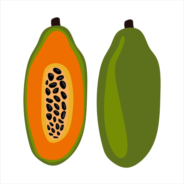 Half an orange papaya. Ripe papaya with seeds.Vector illustration cartoon flat icon isolated on white. can be used for: Print, banner, label, poster, sticker, logo.