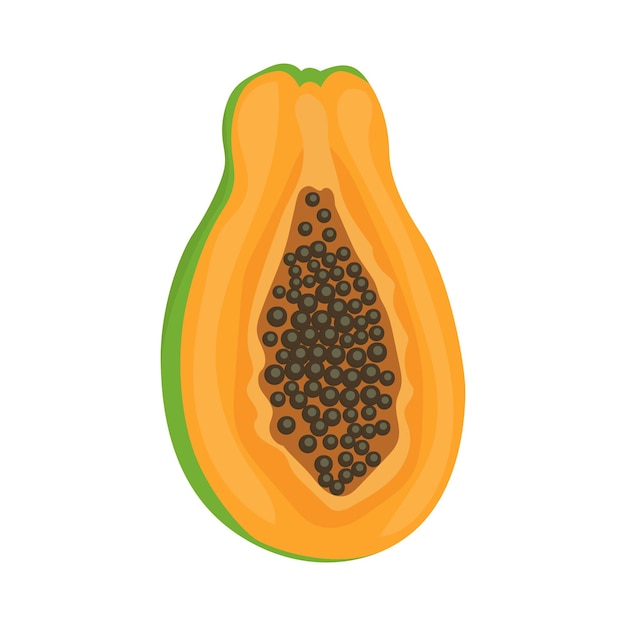 Vector half papaya fruit vector illustration