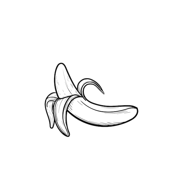 Half peeled banana hand drawn outline doodle icon. Banana vector sketch illustration for print, web, mobile and infographics isolated on white background.