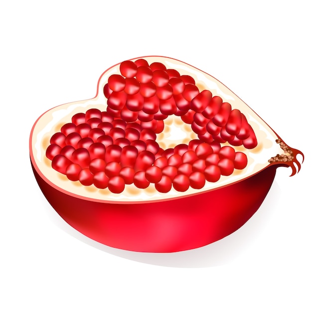 Vector half of pomegranate in the form of heart