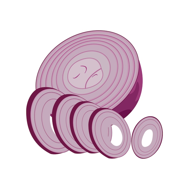 Vector half and sliced red onions isolated on white background vector cartoon illustration