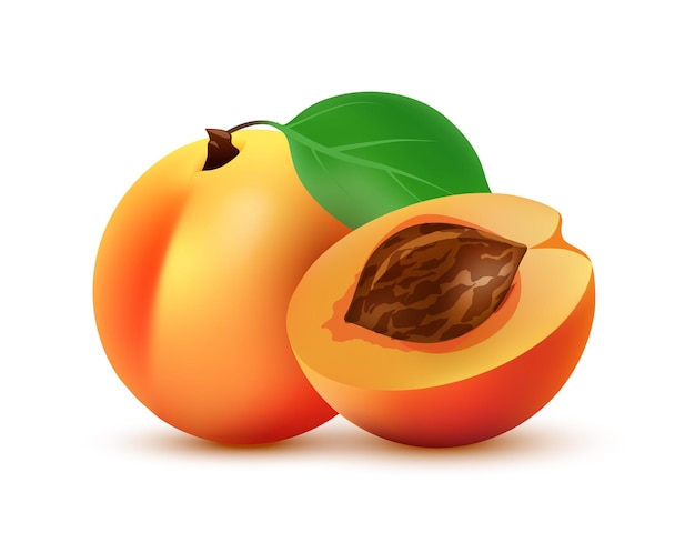 half and whole peach fruit illustration vector icon isolated on white