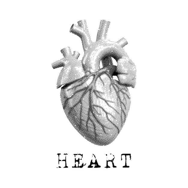 halftone style heart anatomy design vector