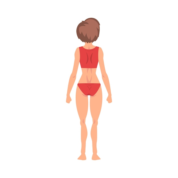 HalfUndressed Female Standing Back View and Making Roentgen Vector Illustration