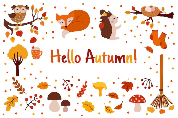 Hallo herfst vallende bladeren en leuke grappige uil, vos vector banner