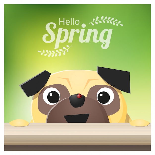 Hallo lente seizoen achtergrond met pug hond