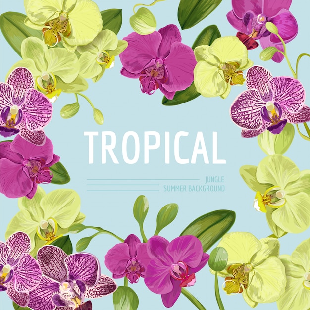 Hallo zomer tropic ontwerp. Tropische orchidee bloemen achtergrond voor Poster