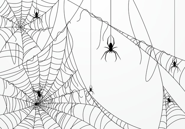 Halloween-achtergrond met spinneweb wordt verfraaid dat