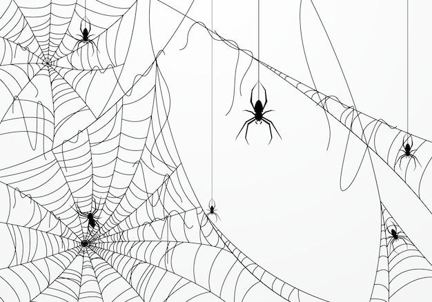  Halloween background decorated with spider web