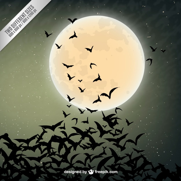 Halloween background con pipistrelli sagome