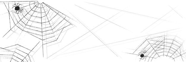 벡터 거미줄이 있는 할로윈 배경 흰색 배경에 격리된 거미가 있는 추상 질감 선 거미줄 복사 공간 벡터 그림이 있는 배너 포스터 템플릿