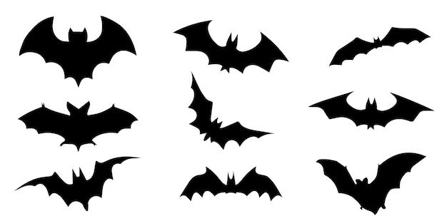 Vector halloween bat vampire silhouette